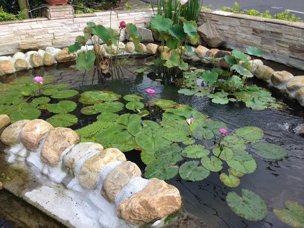 Songyuan B&B Луґу Екстер'єр фото