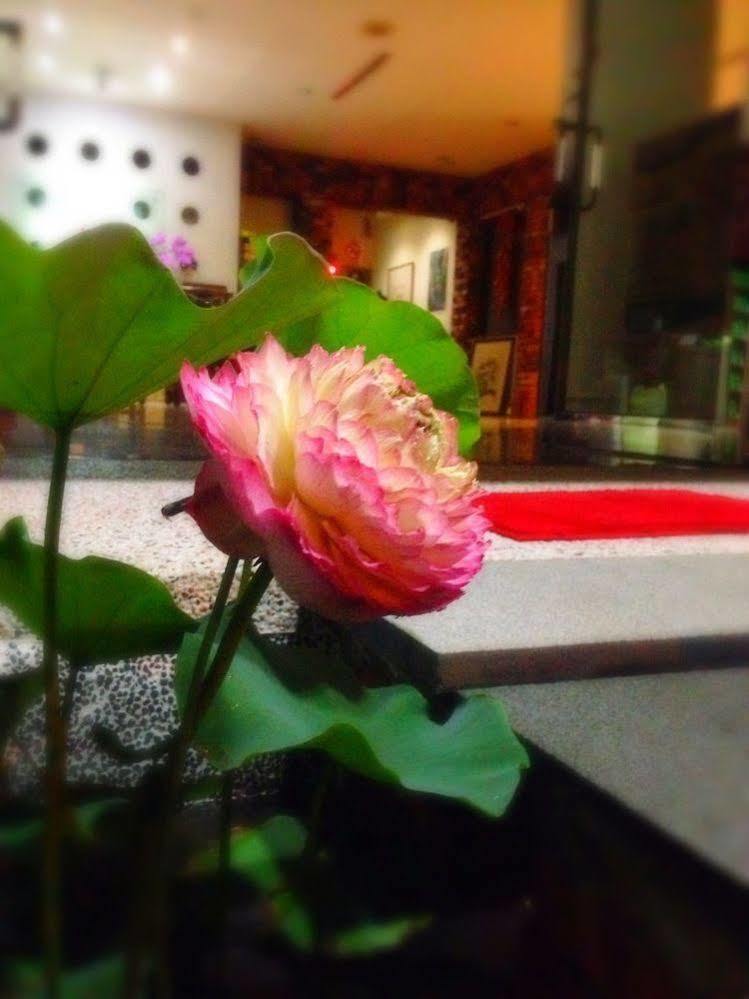 Songyuan B&B Луґу Екстер'єр фото